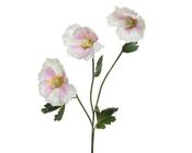 Poppy polyester image
