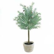 Potted Mint Topiary Tree image