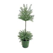 Potted Mint Topiary Tree