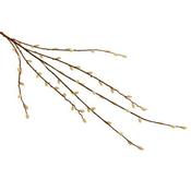 Pussy Willow Spray image