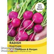 Radish Royal Purple (200)