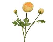Ranunculus on stem image
