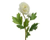 Ranunculus polyester image