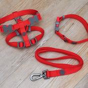 Red Standard Walkabout Dog Lead image