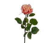 Rose on stem polyester image