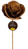 Rusty Oriental Poppy Stake