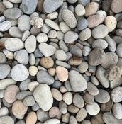 Scottish Beach Pebble