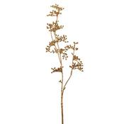 Seed Head Spray