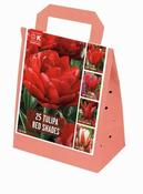 Shades Of Colour Tulip Red (25 bulbs) image