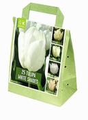 Shades Of Colour Tulip White (25 bulbs)