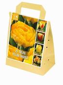 Shades Of Colour Tulip Yellow (25 bulbs) image