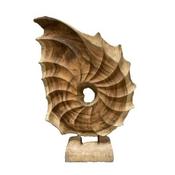 Shell Teak Kerang