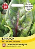Spinach PV1390 Red Veined image