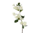 Spray with white flowers