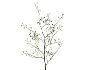Spring buds spray image