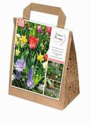 Spring Collection Colour Therapy (40 bulbs) image