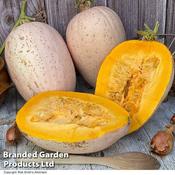 Squash Winter Jumbo Pink Banana (10)