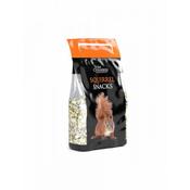 Squirrel Snacks
