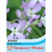 Stocks Night Scented (1100)