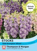 Stocks T&amp;M Brompton Mixed (100)
