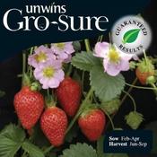 Strawberry Florian image