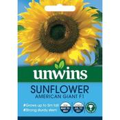 Sunflower American Giant F1 image