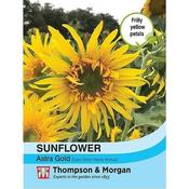 Sunflower Astra Gold (30)
