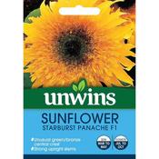 Sunflower Starburst Panache F1 (22) image