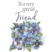 TGTK Very Spec Friend 2ed