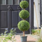 Trio Topiary Tree (120cm)