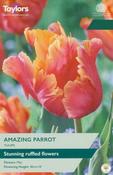 Tulip Amazing Parrot (5 bulbs) image