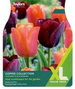 Tulip Copper Collection XL (12 bulbs) image