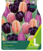Tulip Cutting Garden XL (12 bulbs) image
