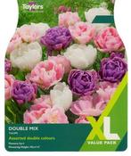 Tulip Double Mix XL (12 bulbs) image