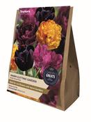 Warm Cutting Collection (20 bulbs) image