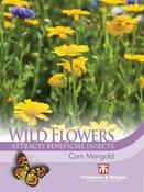 Wild Flower Corn Marigold image