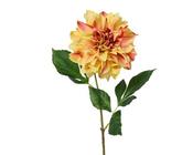 Yellow Dahlia on stem image