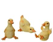 Yellow Duck
