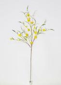 Yellow Lace Flower Spray image