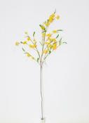 Yellow Paniculata Floral Spray image