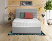 Respa Ortholite Divan Bed