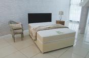 Spinal Master 4.6ft Divan Set image