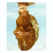 Seaweed Bath Bag Bundle (3pcs) — Atlantic Irish Seaweed image