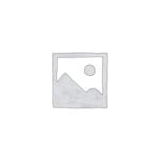 5mm Bar Cap Wearstrip - Heavy Duty image