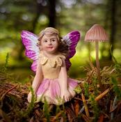 Petal Fairy