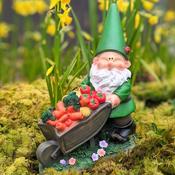 Veg Patch Gnome