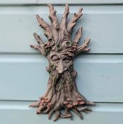 Crann Tree Spirit image