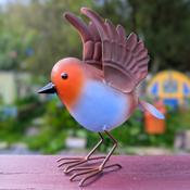 Chirpy the Robin
