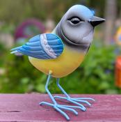 Betty Blue tit