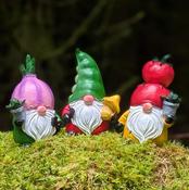 Garden Gonk Set